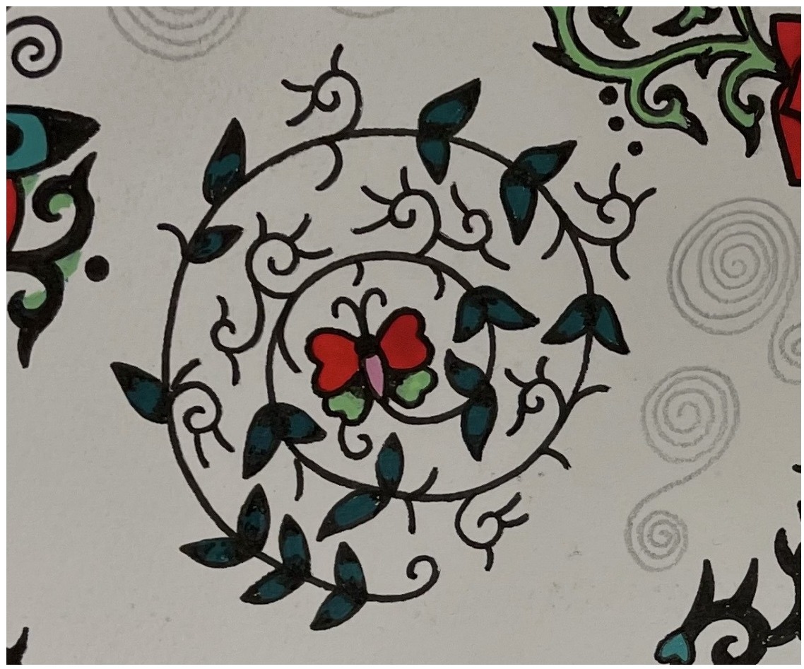 butterfly spiral