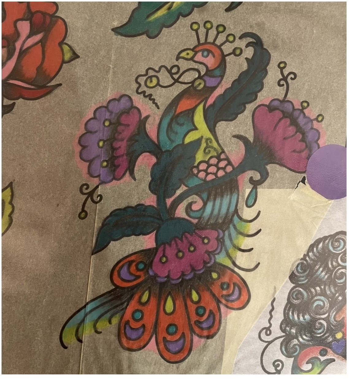 peacock
