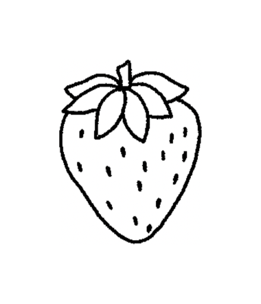 Fruit 🍉🍌🍓