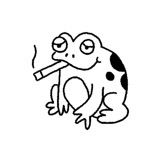 Frogs & More 🐸🦎