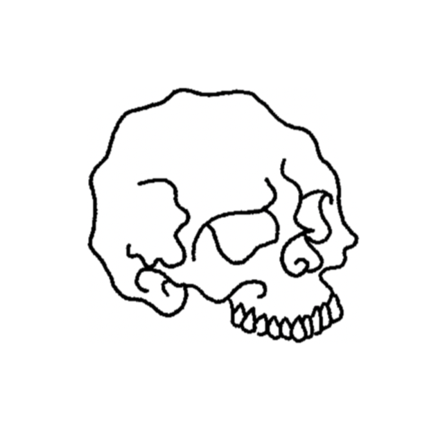 Skulls 💀
