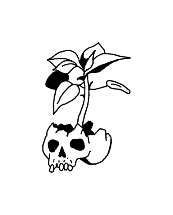 Skulls 💀