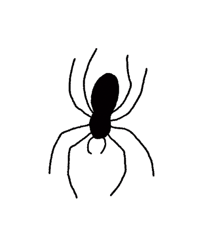 Spiders 🕷️