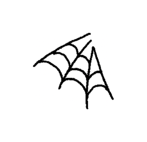 Spiders 🕷️