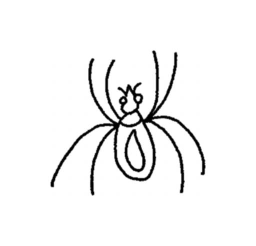 Spiders 🕷️