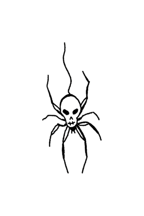 Spiders 🕷️