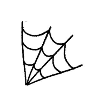 Spiders 🕷️