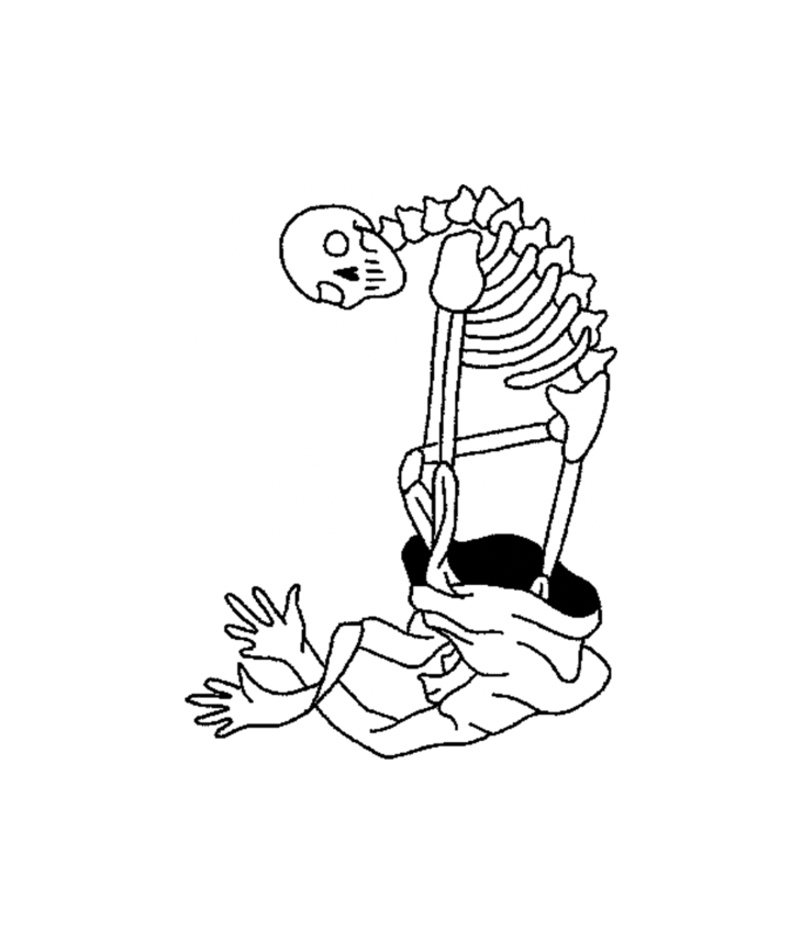 Bones 🦴