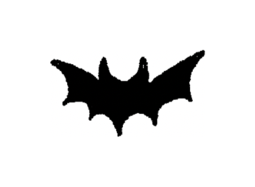 Spooky 🩸🦇