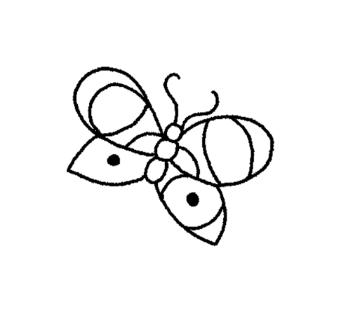 Butterflies 🦋
