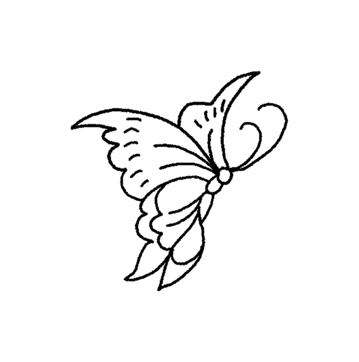 Butterflies 🦋