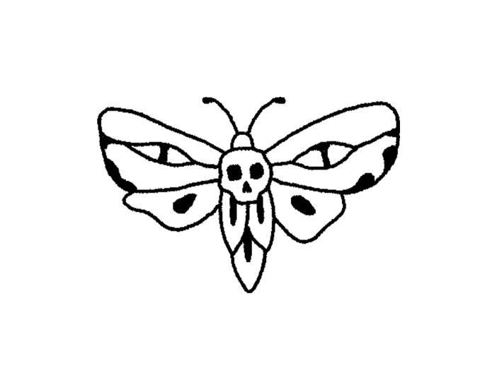 Butterflies 🦋