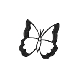 Butterflies 🦋