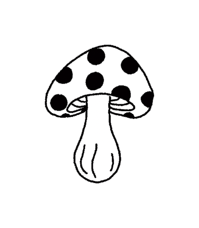 Mushrooms 🍄🍄‍🟫