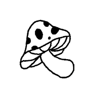 Mushrooms 🍄🍄‍🟫