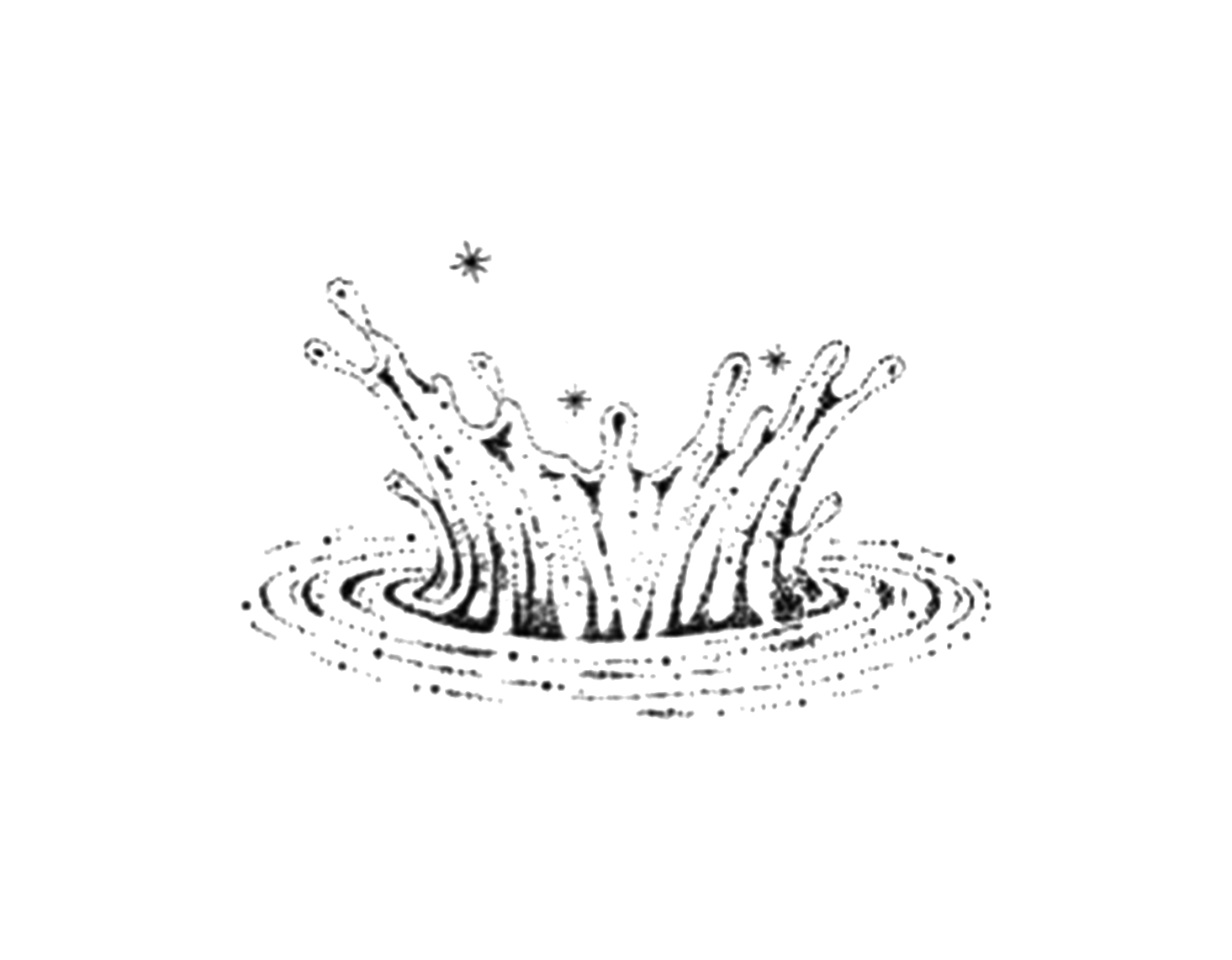 Splash