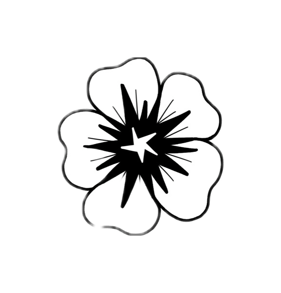 Vix flash design