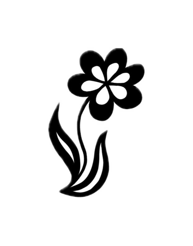 Vix flash design