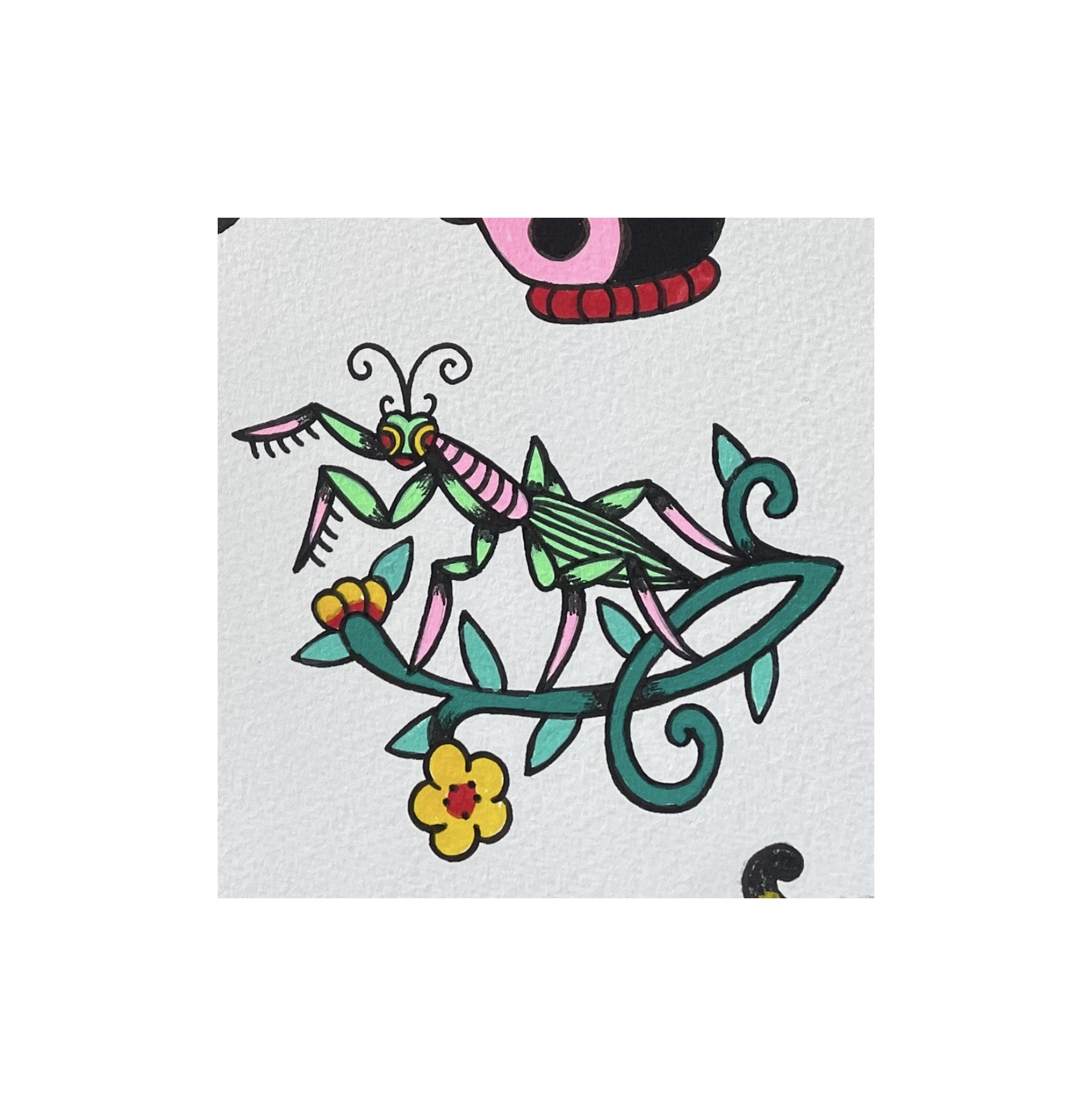 friendly mantis