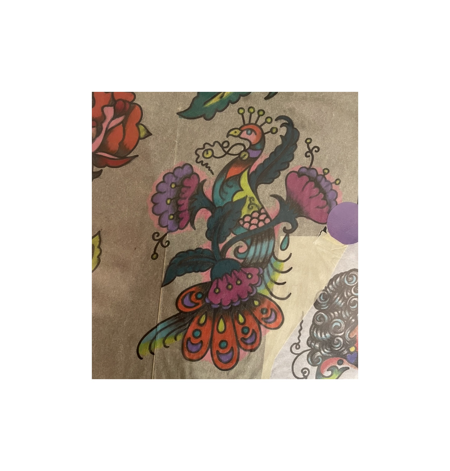 peacock