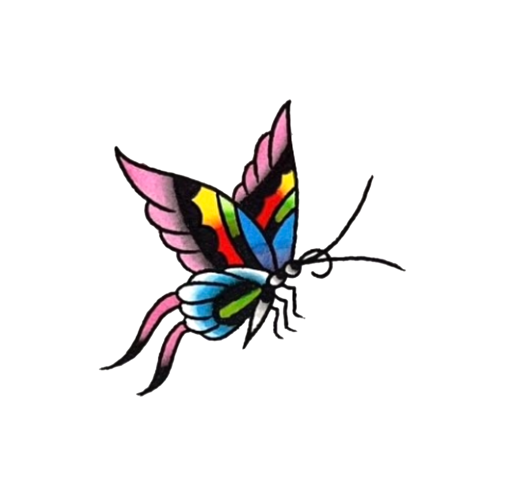 Danica flash design