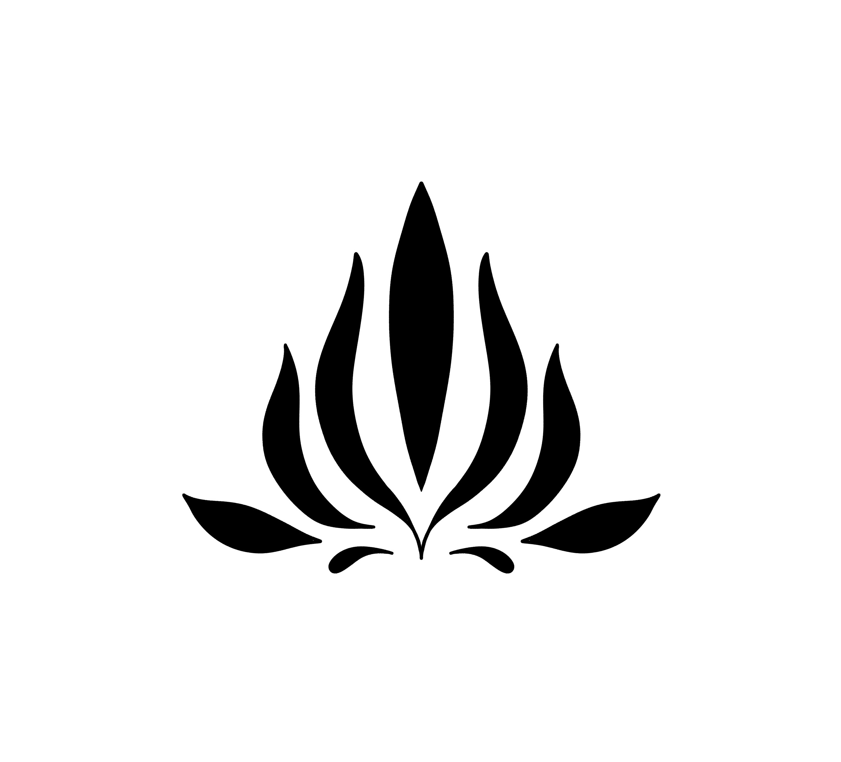 Vix flash design