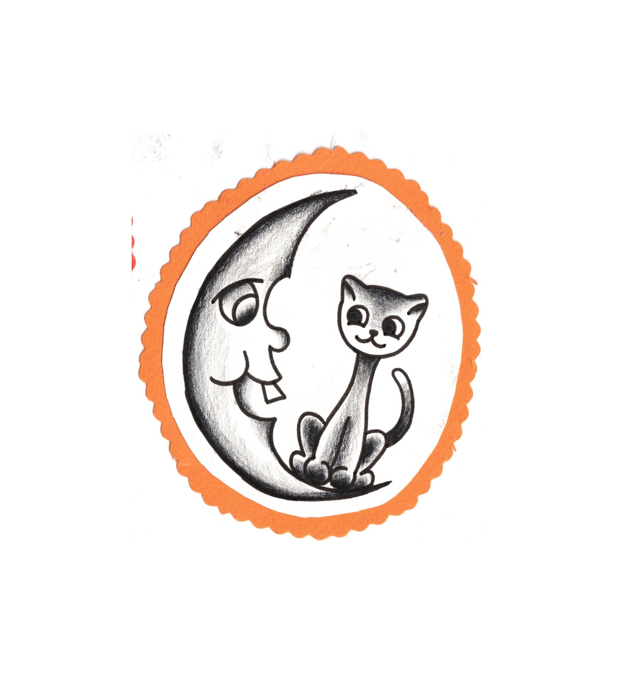 cat on moon