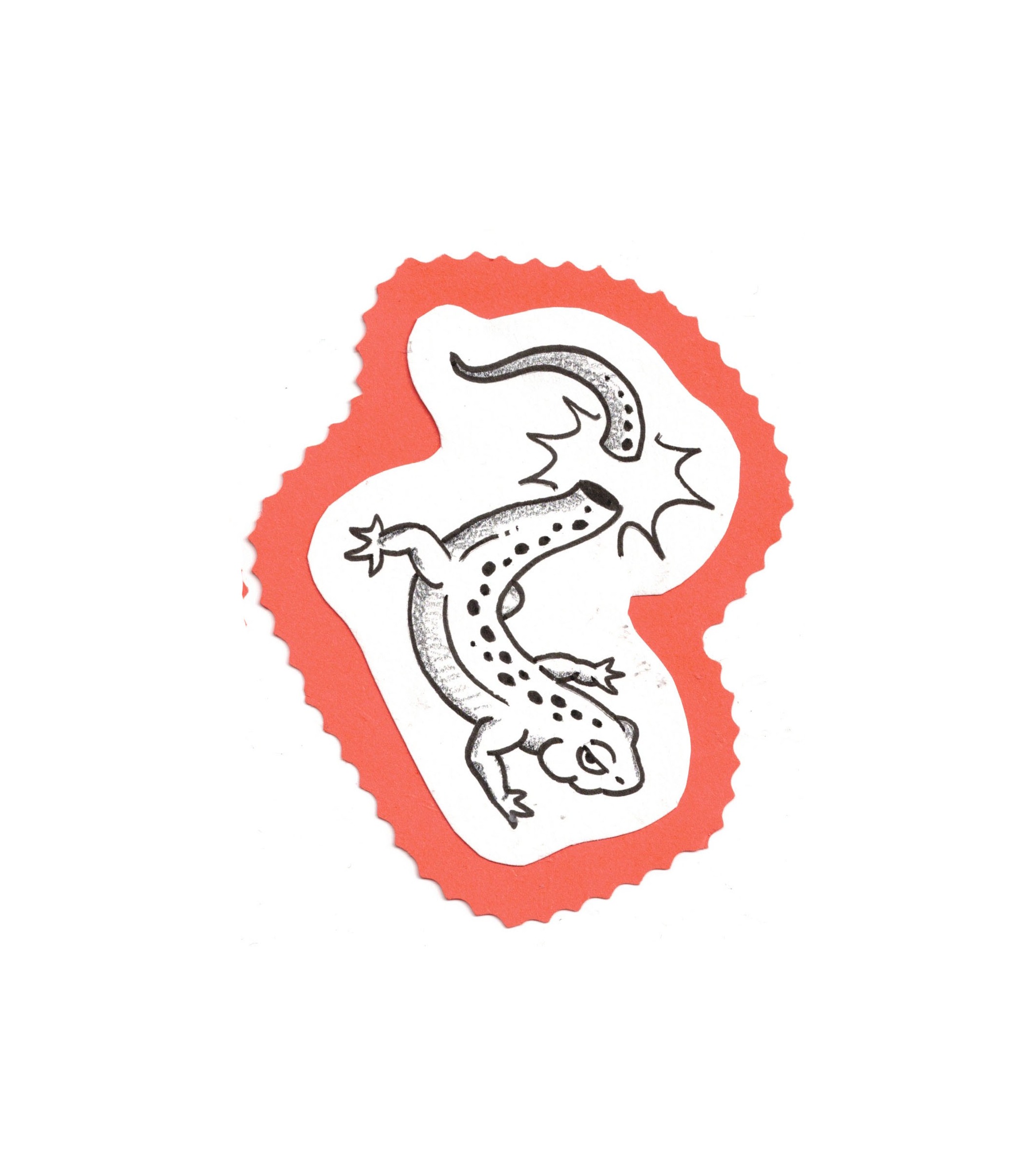 lizard